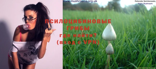 ГАЛЛЮЦИНОГЕННЫЕ ГРИБЫ Заволжск