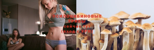 ГАЛЛЮЦИНОГЕННЫЕ ГРИБЫ Заволжск