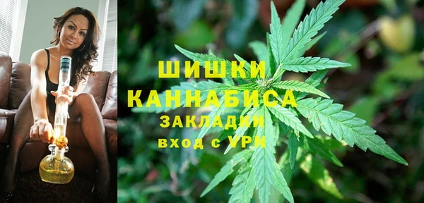 ГАЛЛЮЦИНОГЕННЫЕ ГРИБЫ Заволжск