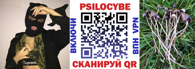 купить закладку  Шацк  Псилоцибиновые грибы Cubensis 